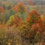 In Riviera l’autunno scrocchia